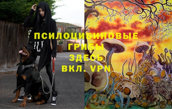 mdpv Нея